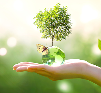 surdurulebilirlik-350x323