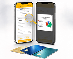 other-bank-accounts-and-cards-256x208