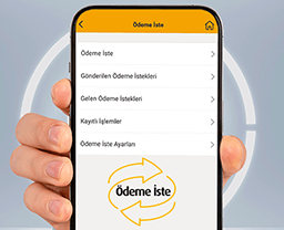 odeme-iste-2.0-256x208