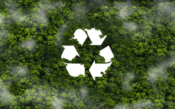 environmental-and-social-risk-management-system-esms-580x360