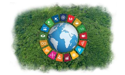 Önceliklerimiz ve Sürdürülebilirlik Yaklaşımımız