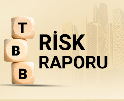 tbb-risk-raporu-dekstop